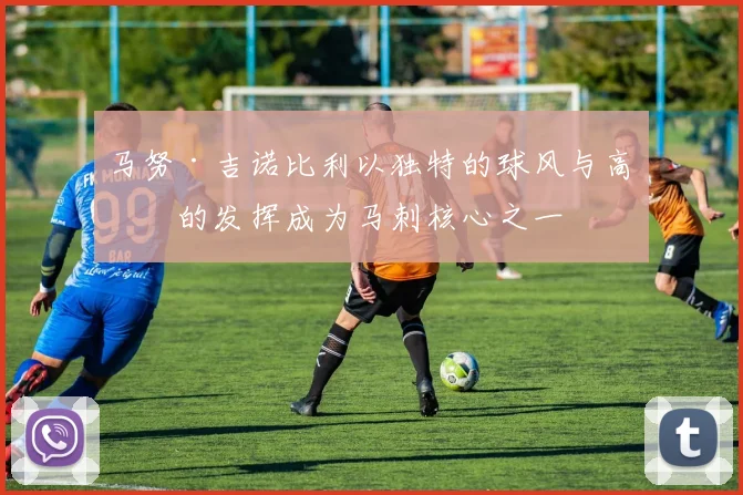 马努·吉诺比利以独特的球风与高效的发挥成为马刺核心之一