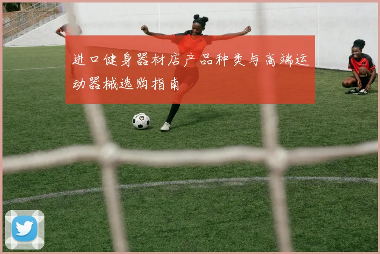 进口健身器材店产品种类与高端运动器械选购指南