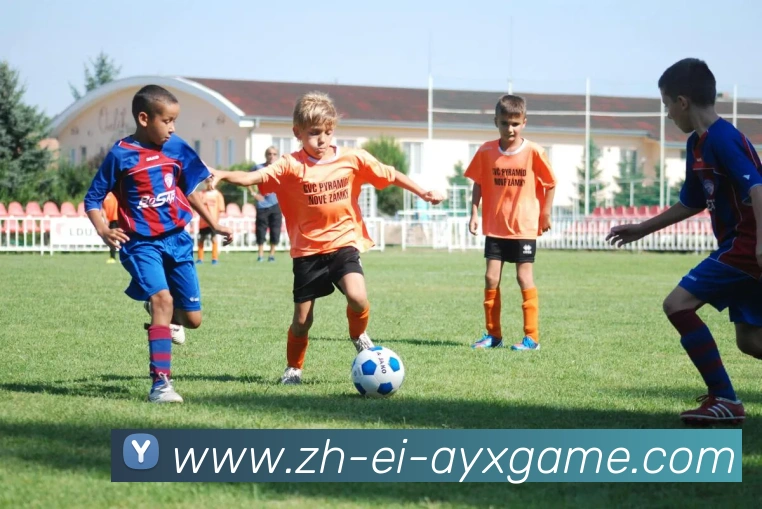 爱游戏发展历程